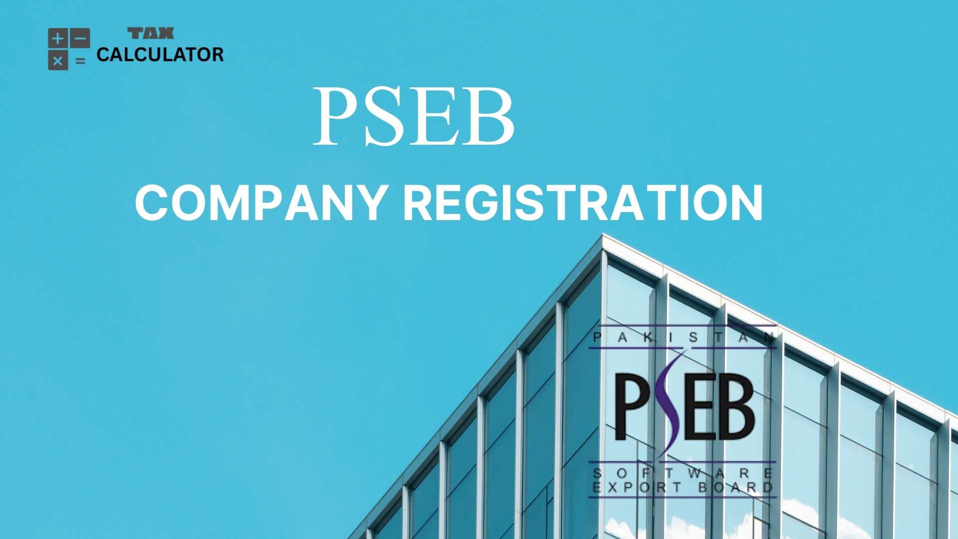 PSEB Freelancer Registration in Pakistan